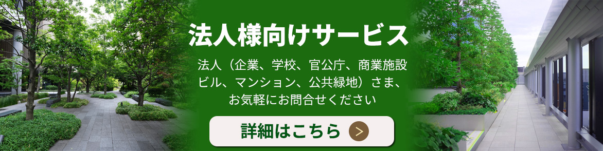 法人様はこちら